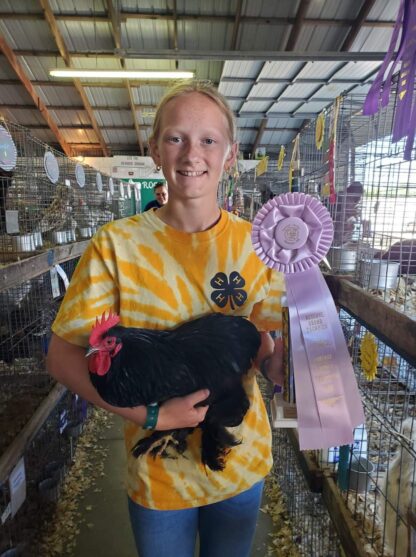 Black Cochin Bantam