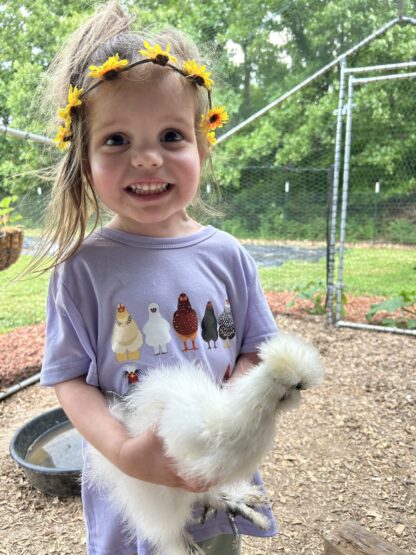 White Silkie Bantam - Image 70