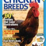 Guide to Chicken Breeds, Celebrating America's Favorite Farm Animals from the Editors of Hobby Farm Magazine.-0