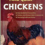 The Field Guide to Chickens by Pam Percy