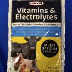 Vitamins and Electrolytes