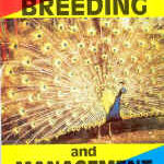 Peafowl Breeding and Management by Loyl Stromberg