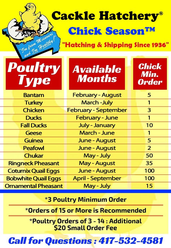 Chicken Availability Chart Cackle Hatchery®