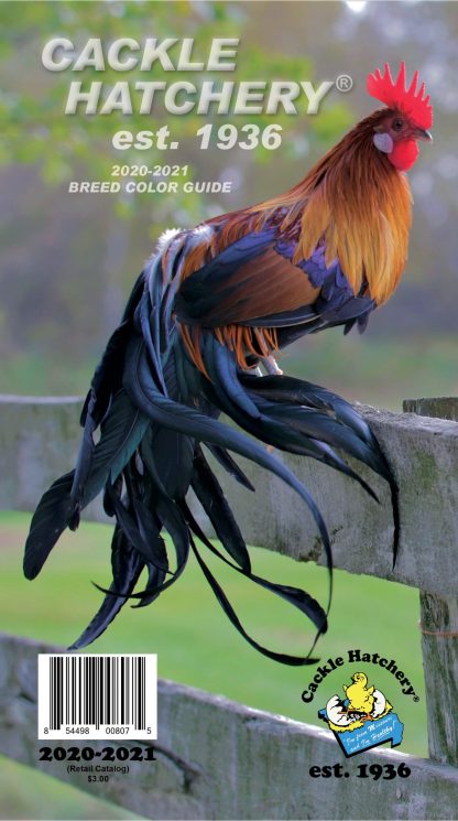 Digital Chicken Breed Catalog 2017 - Cackle Hatchery