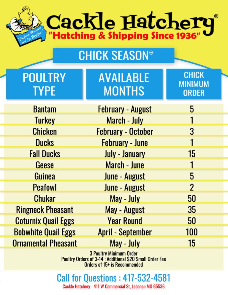 Chicken Availability Chart Cackle Hatchery®