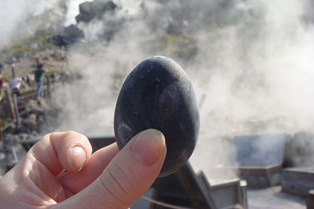 A black chicken egg