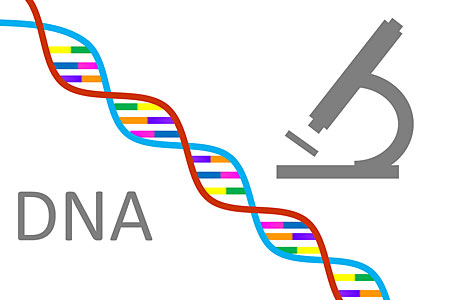 An illustration that shows a DNA strand