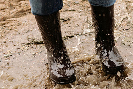 Boots being washed after a trip to the chicken coop